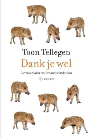 Dank je wel Dank je wel