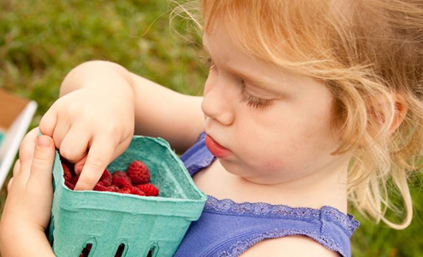 leuke boekjes om te leren tellen voor kinderen