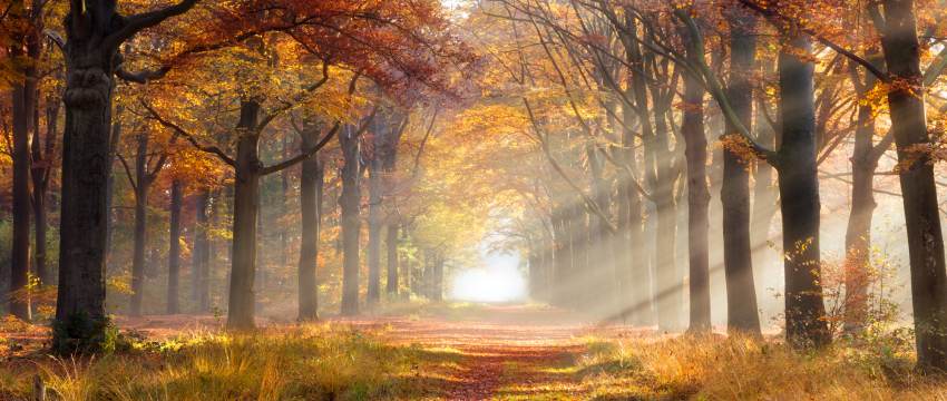 kinderboeken over de herfst