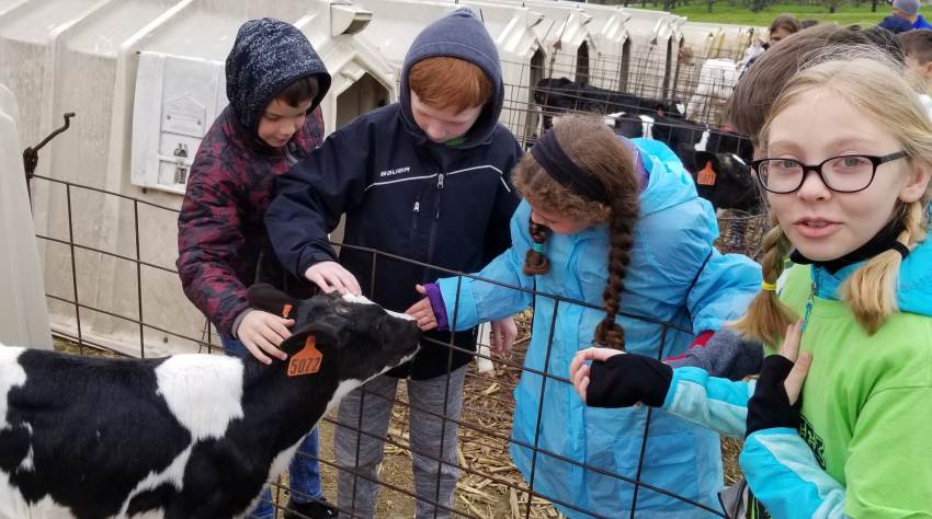 kinderen op boerderij